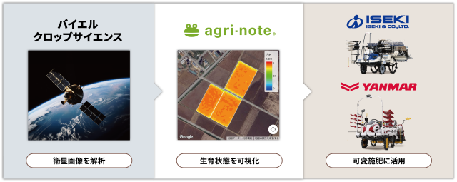 アグリノート、衛星リモセンサービス 3月5日から「お試し版」提供開始 バイエル×ウォーターセル×井関×ヤンマー